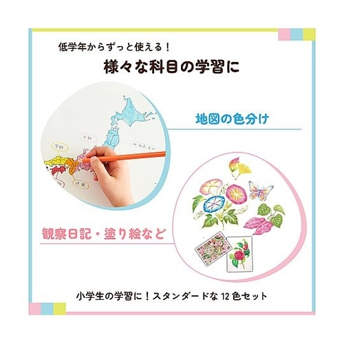 小学生文具 小学生色えんぴつ12色 GP
