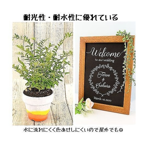 ピグマックス細字 くろ ZPK−S#49