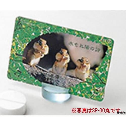 アクリルカード立 SP−31 角 白 4