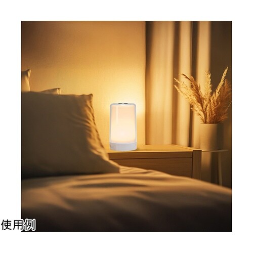 大きなタッチライト NCSWL88