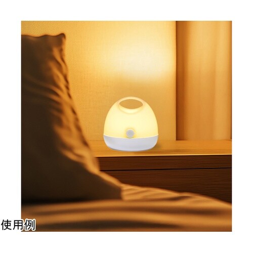 ベッドサイドプッシュライト NBSWL8