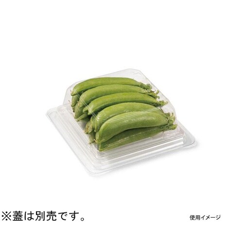 バイオニュート キューブ13−TC 1袋