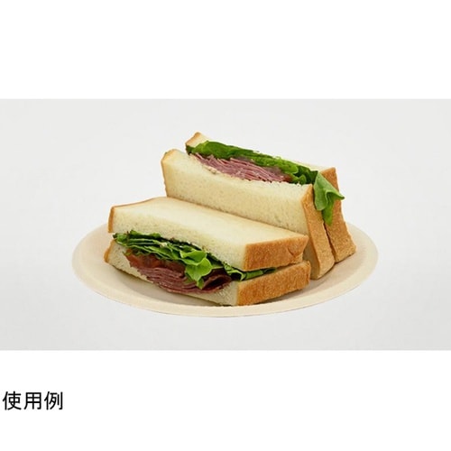 パルプモールド MB丸プレート180 1