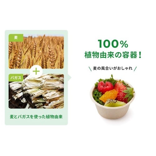 フルーツ容器 新WBカップ62−40 ラ