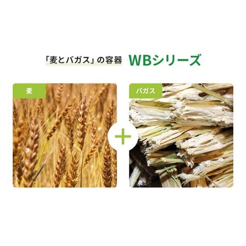 フルーツ容器 新WBカップ62−40 ラ