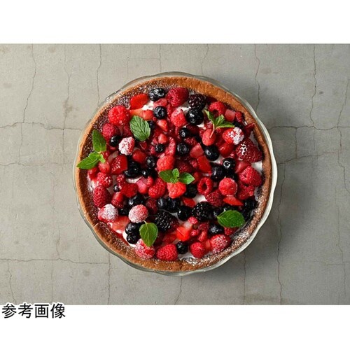 プレート 22cm 耐熱ガラス HPL−