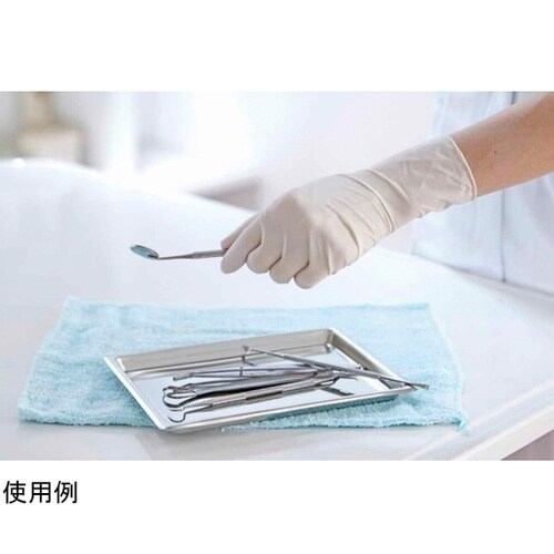 ゴム手袋 極うす手袋 低アレルゲン 10