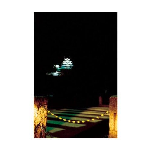 チェーンアイ (パック/6個入) グリー