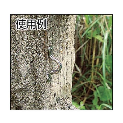 ステンレス ローアイストラップ 座ぐりタ