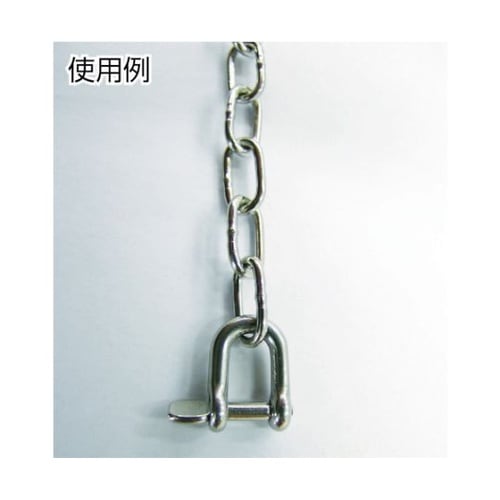 B2198 ステンレスネジシャックル