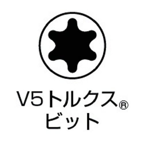 片頭ドライバービット トルクスビット V