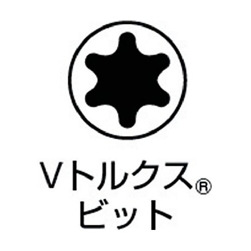 片頭ドライバービット トルクスビット V