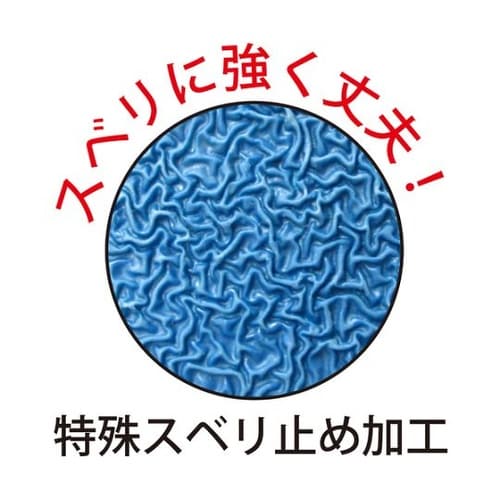 300S ブルーライナー