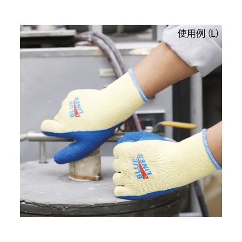 3002L ブルーライナー