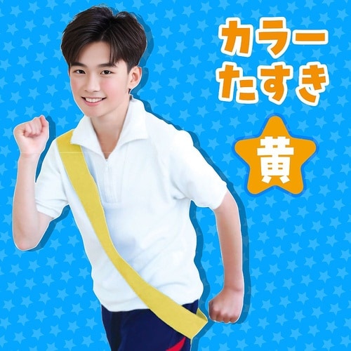 1223 カラーたすき黄