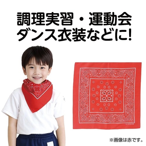 1242 バンダナ白