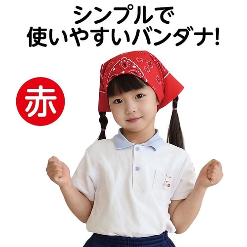 1243 バンダナ赤