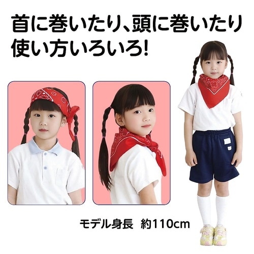 1243 バンダナ赤