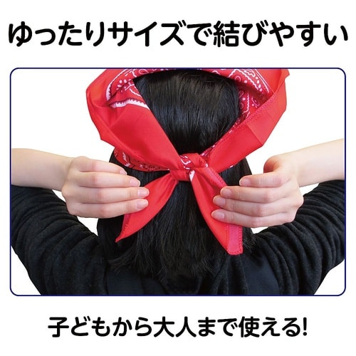 1243 バンダナ赤