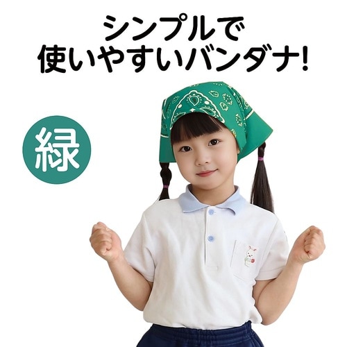 1245 バンダナ緑