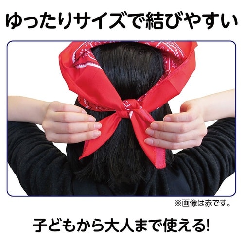 1247 バンダナ紫