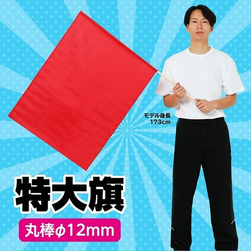 2196 特大旗(800×600)赤