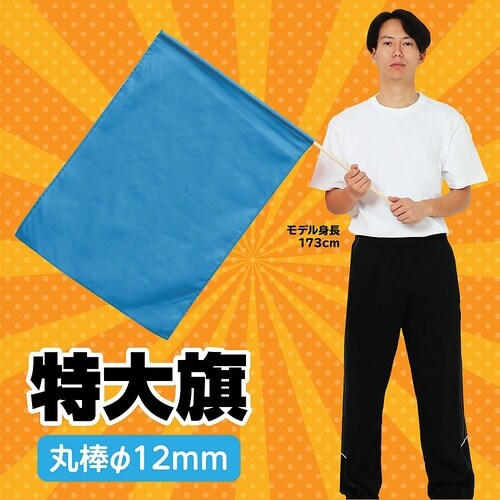 2197 特大旗(800×600)青