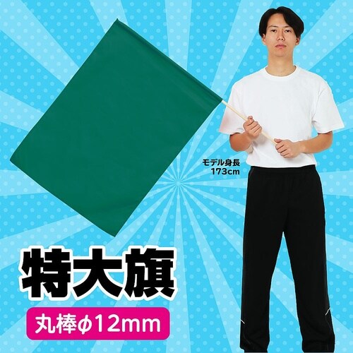 2370 特大旗(800×600)緑