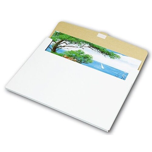 11142 新作品収納ケース特大白無地