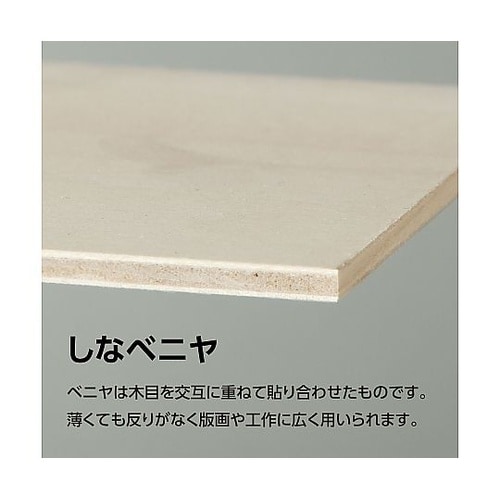 45122 しなベニヤ