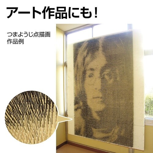 46611 発泡スチロール芯材中