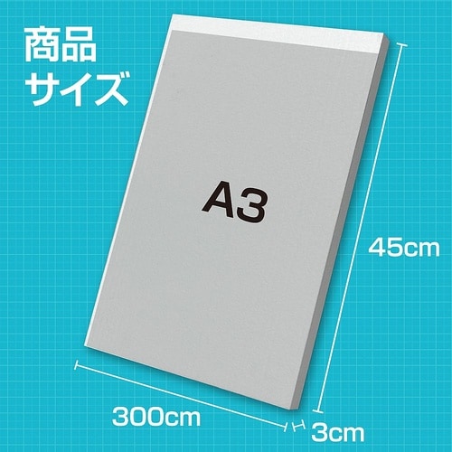 46620 発泡スチロール