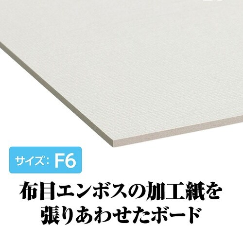 133046 キャンバスボードSXF6