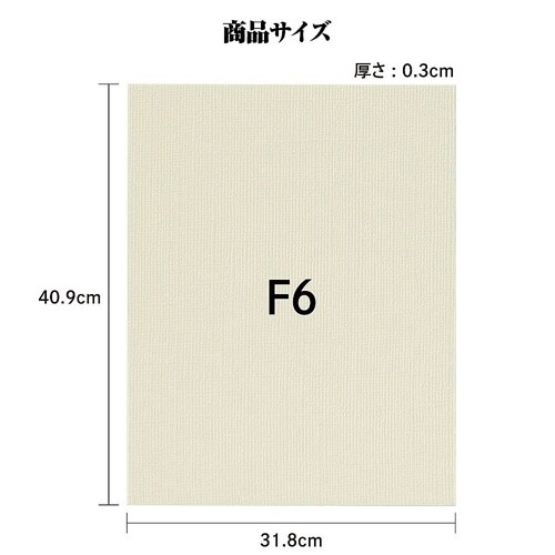133046 キャンバスボードSXF6