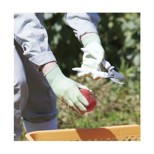 810LL 快適背抜き LL