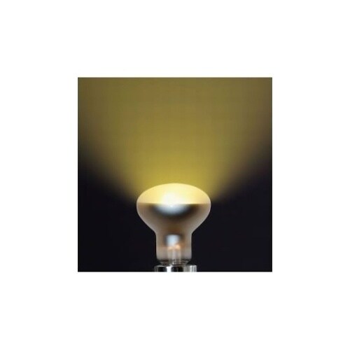 R501750 クリプトン球50W形