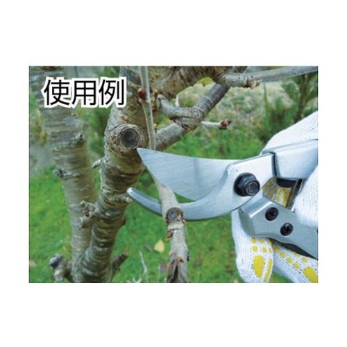 502099EG ダイキャスト剪定鋏DX