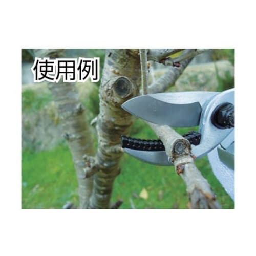 502136 EG 剪定鋏 アンビル型