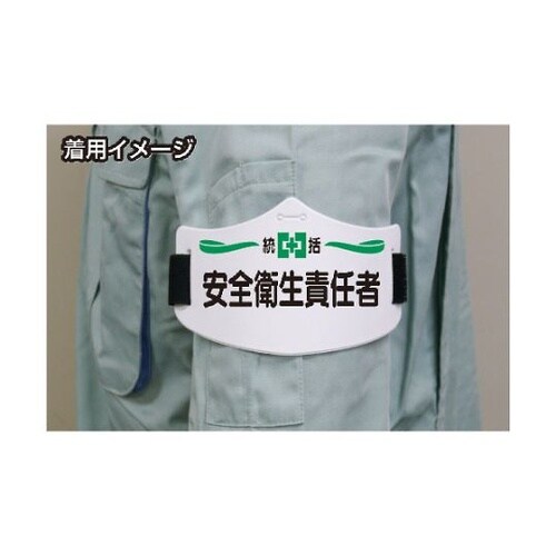 WE105L e腕章 青無地 バンド付