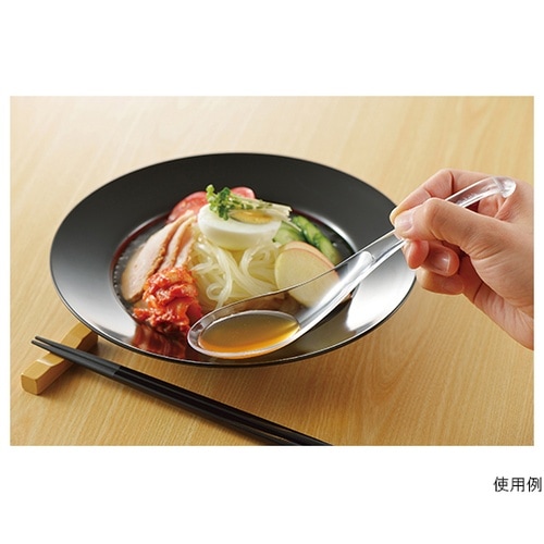 109TNオーバルレンゲスプーン(透明)