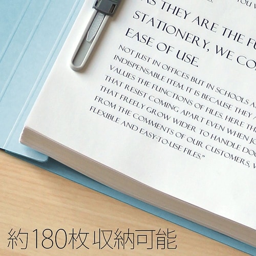 No.023NP フラットファイル R青