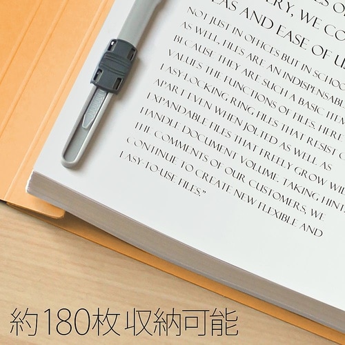 No.024NP フラットファイル 黄