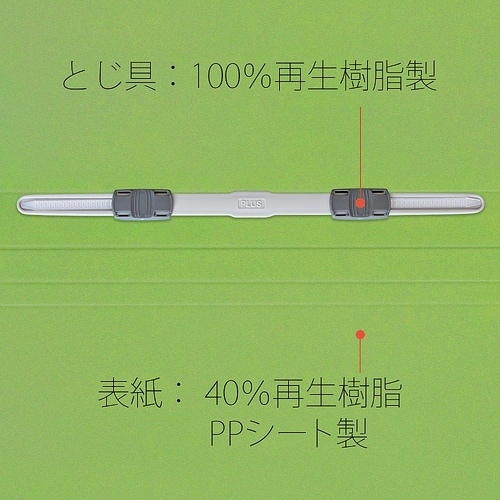 No.121P フラットファイル 葉緑