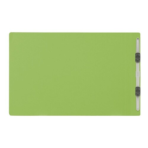 No.122P フラットファイル 葉緑