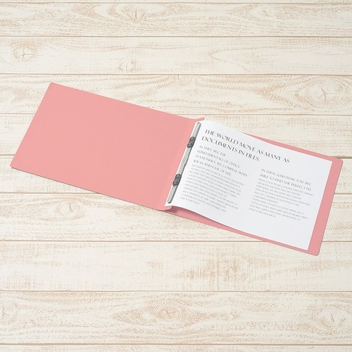 No.122P フラットファイル 桃