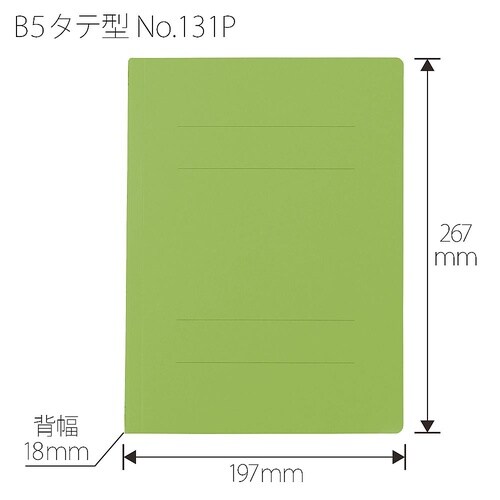 No.131P フラットファイル 葉緑