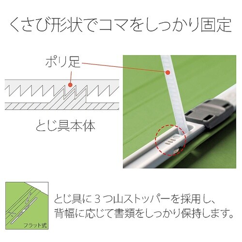 No.131P フラットファイル 葉緑