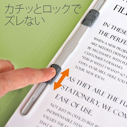 No.131P フラットファイル 葉緑