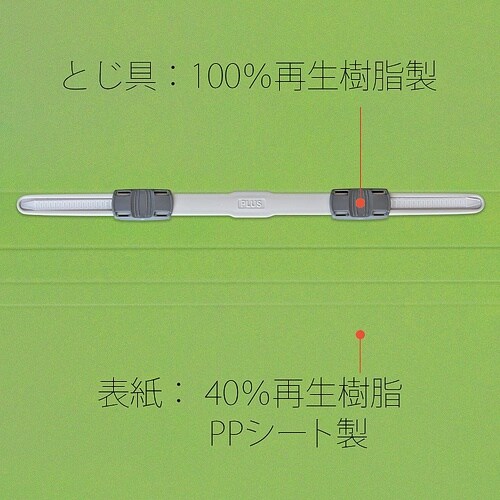 No.131P フラットファイル 葉緑