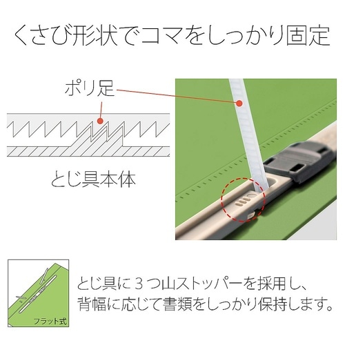 No.125FP フラットファイル 葉緑